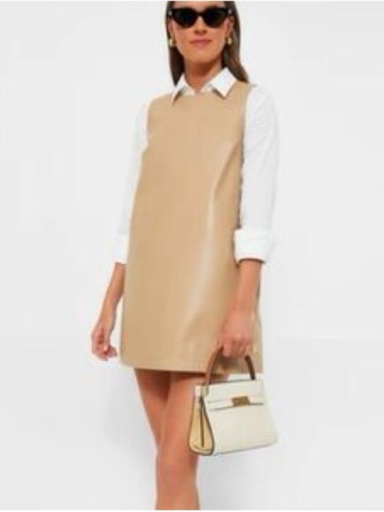 Hyacinth House Dresses & Skirts - Minimal Sleeveless Tan Mini Dress
